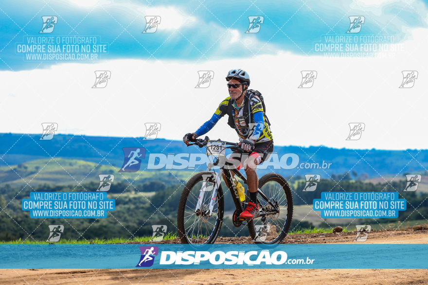 Rota das Catedrais 2024