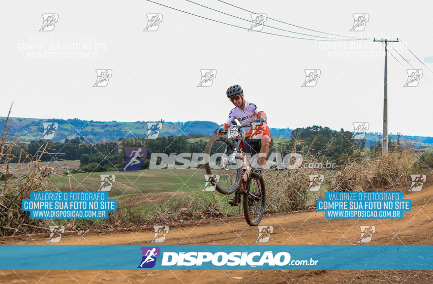 Rota das Catedrais 2024