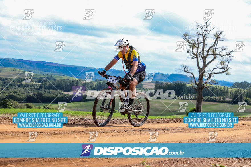 Rota das Catedrais 2024