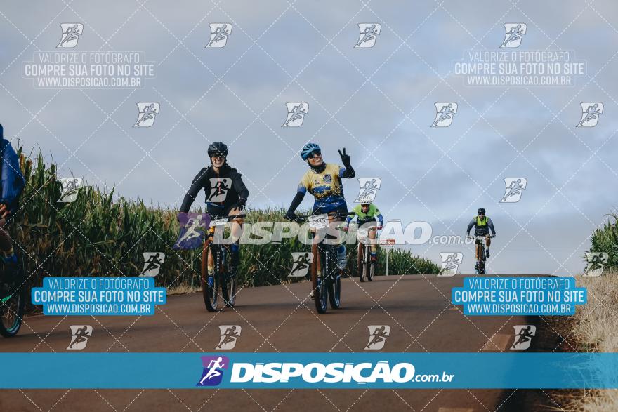 Rota das Catedrais 2024