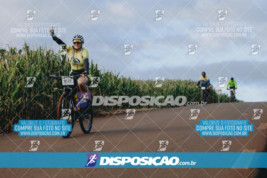 Rota das Catedrais 2024