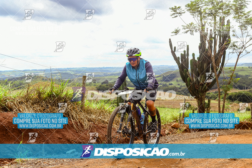 Rota das Catedrais 2024