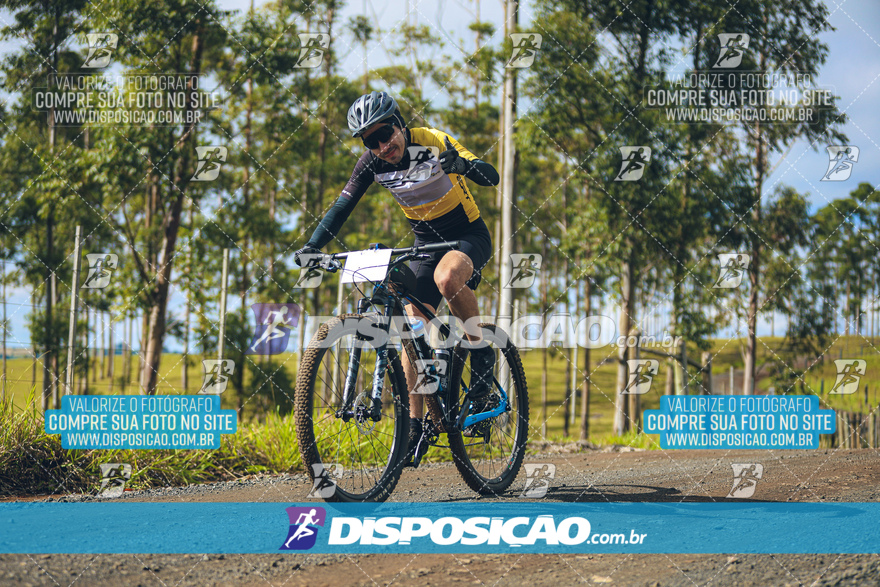 Rota das Catedrais 2024