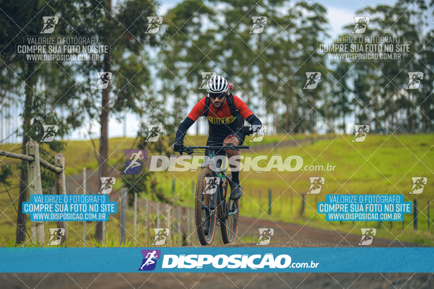 Rota das Catedrais 2024