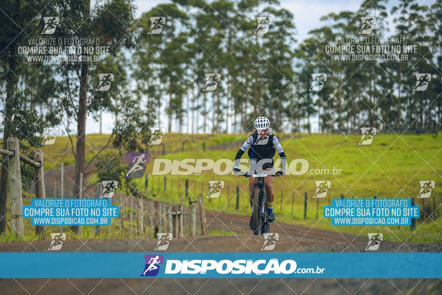 Rota das Catedrais 2024