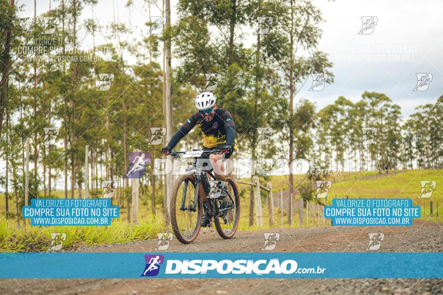 Rota das Catedrais 2024