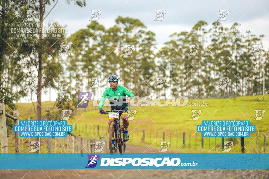 Rota das Catedrais 2024