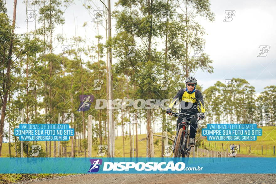 Rota das Catedrais 2024