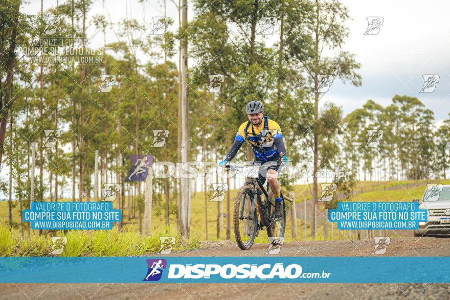 Rota das Catedrais 2024