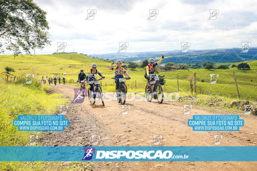 Rota das Catedrais 2024