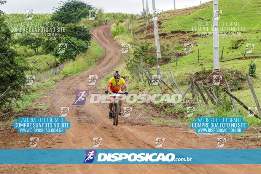 Rota das Catedrais 2024