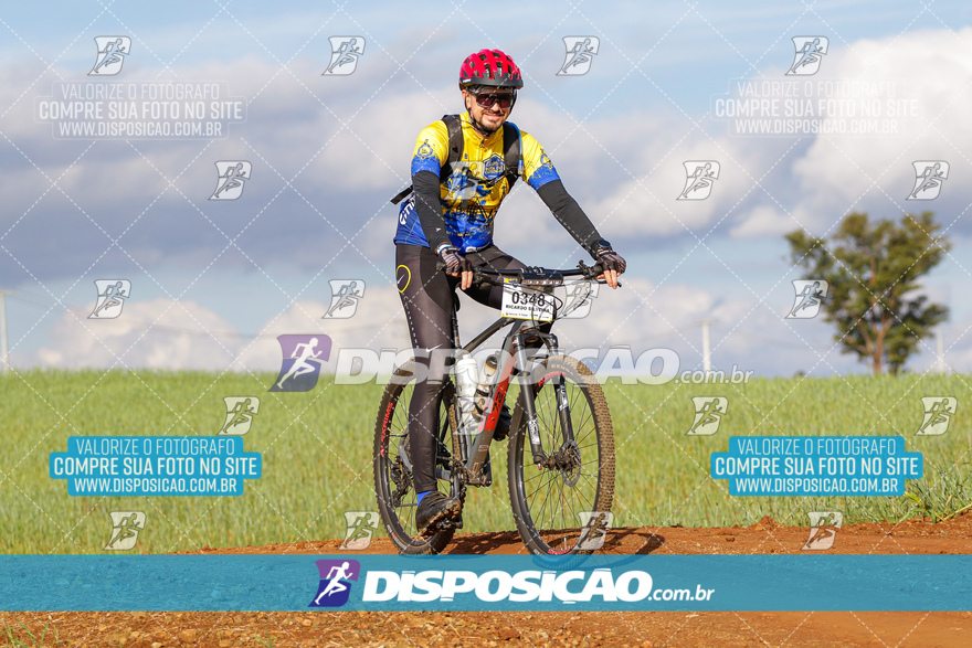 Rota das Catedrais 2024