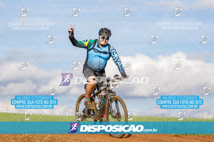 Rota das Catedrais 2024