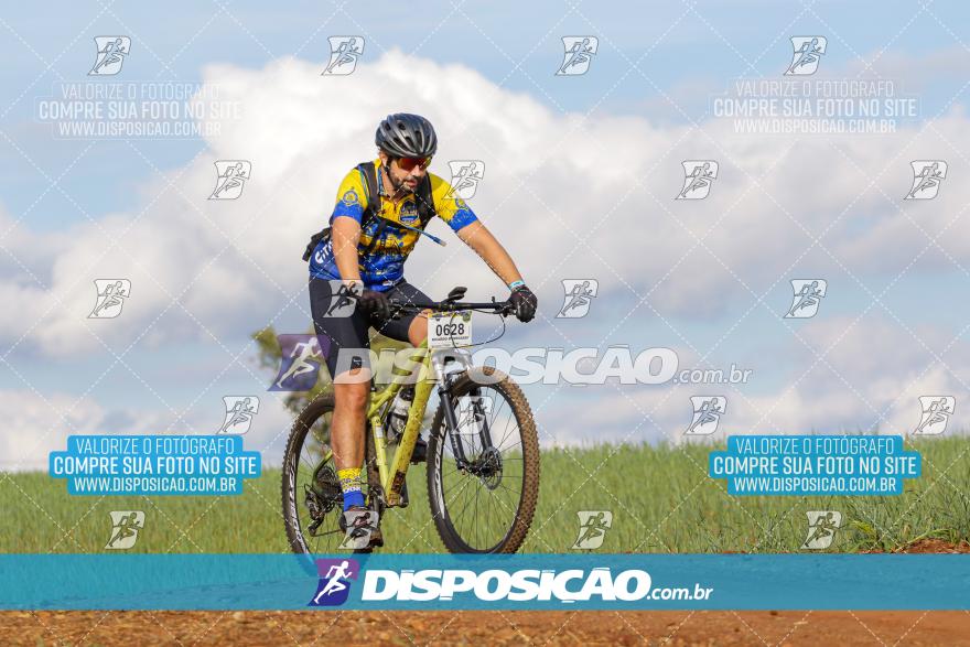 Rota das Catedrais 2024
