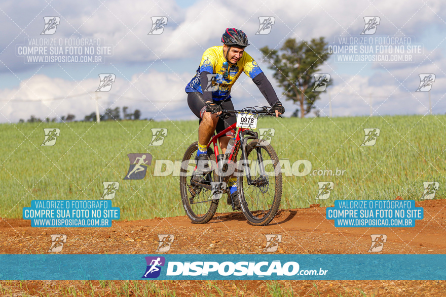 Rota das Catedrais 2024