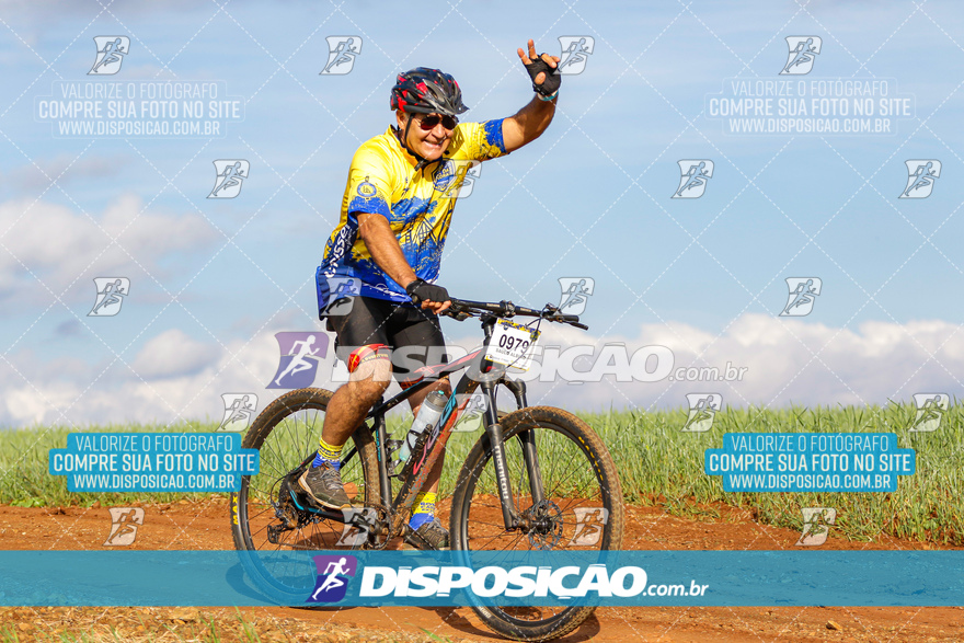 Rota das Catedrais 2024