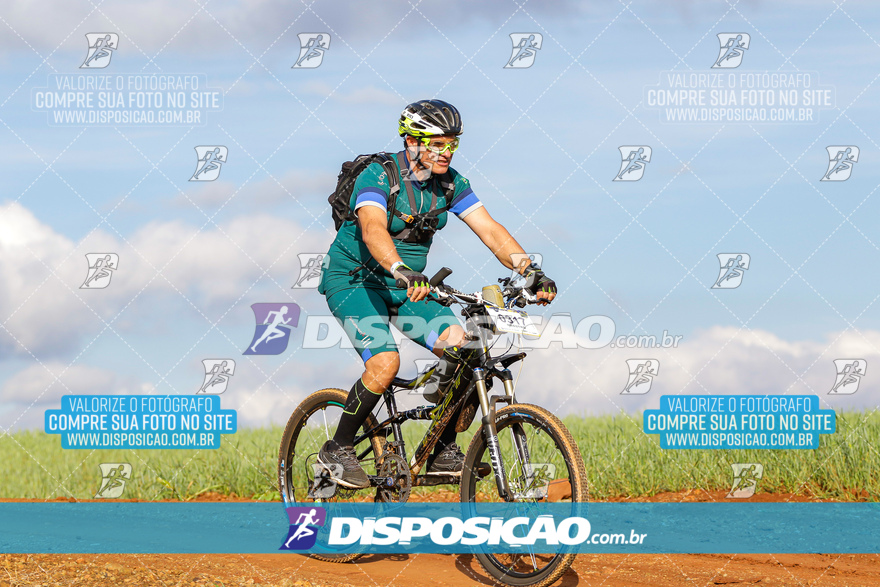 Rota das Catedrais 2024
