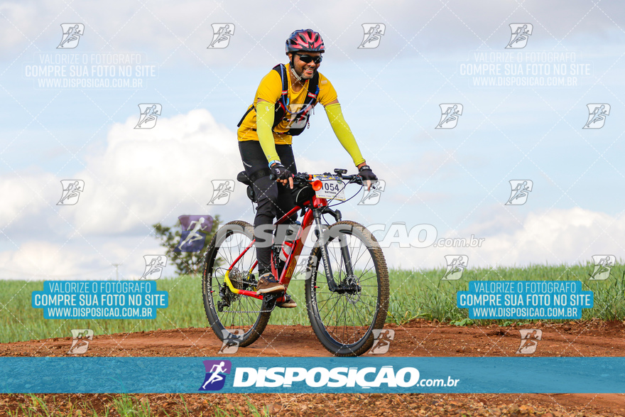 Rota das Catedrais 2024