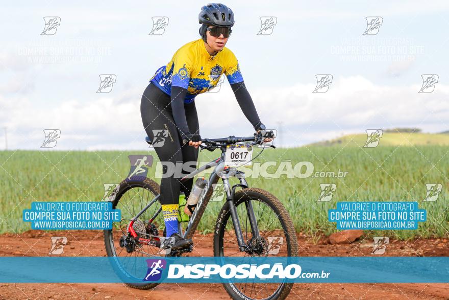 Rota das Catedrais 2024
