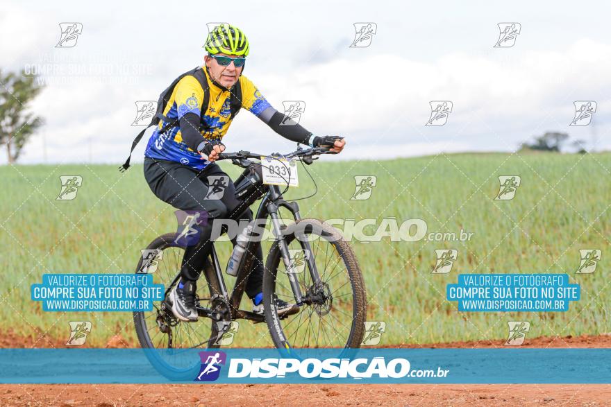 Rota das Catedrais 2024