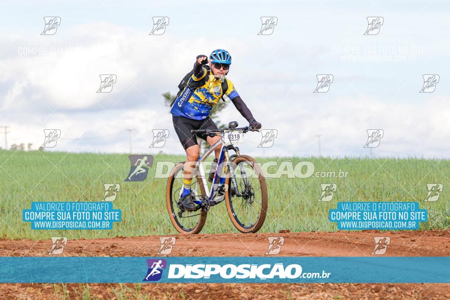 Rota das Catedrais 2024