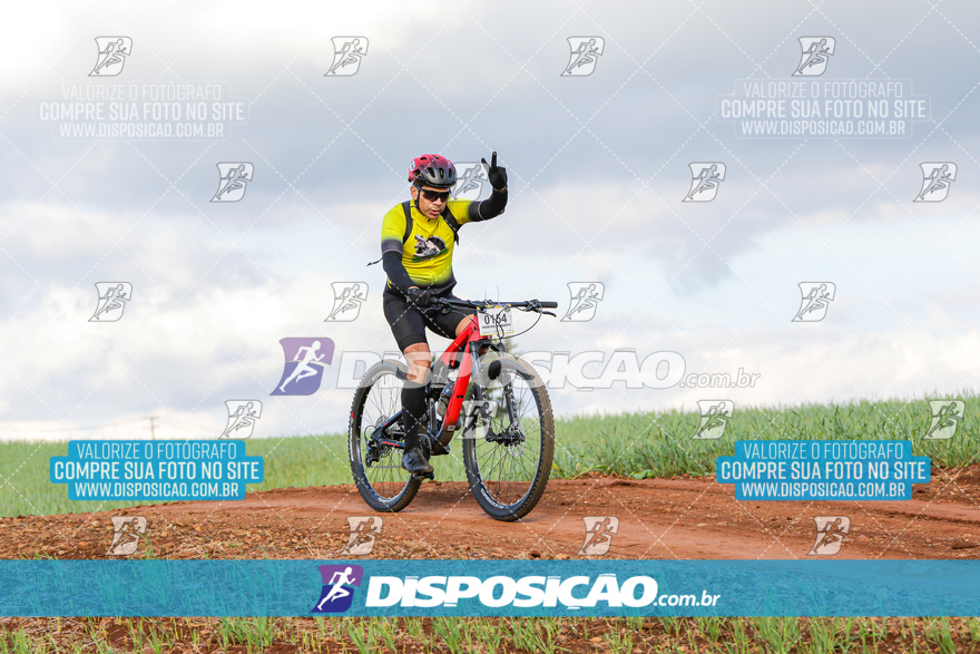 Rota das Catedrais 2024