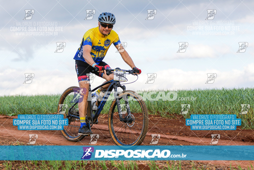 Rota das Catedrais 2024
