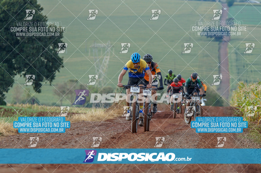 Rota das Catedrais 2024