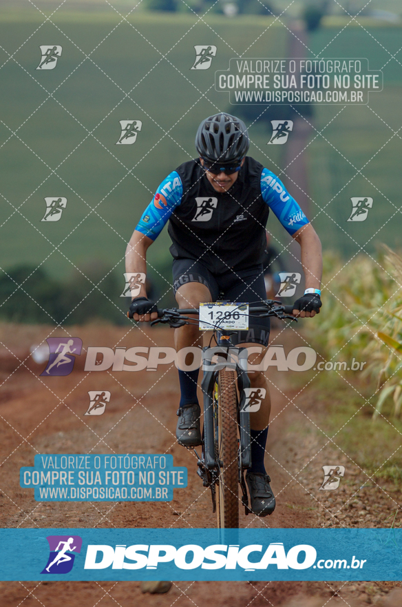 Rota das Catedrais 2024