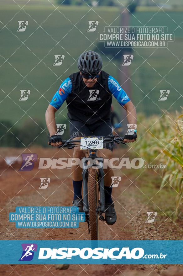 Rota das Catedrais 2024