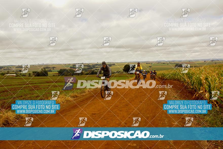 Rota das Catedrais 2024