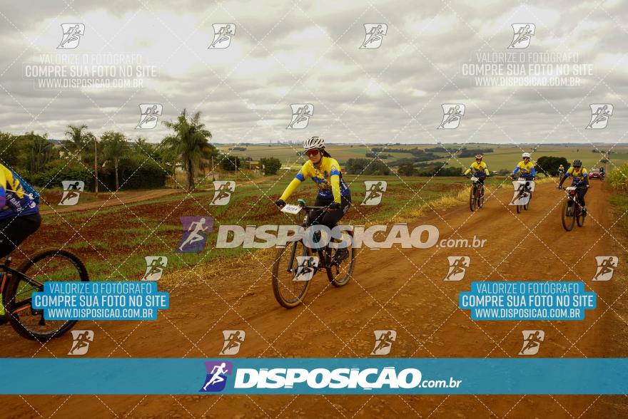 Rota das Catedrais 2024