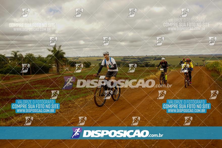 Rota das Catedrais 2024