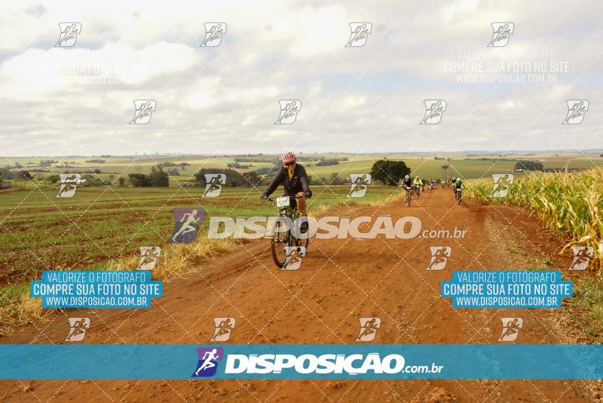 Rota das Catedrais 2024