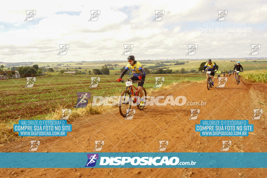 Rota das Catedrais 2024
