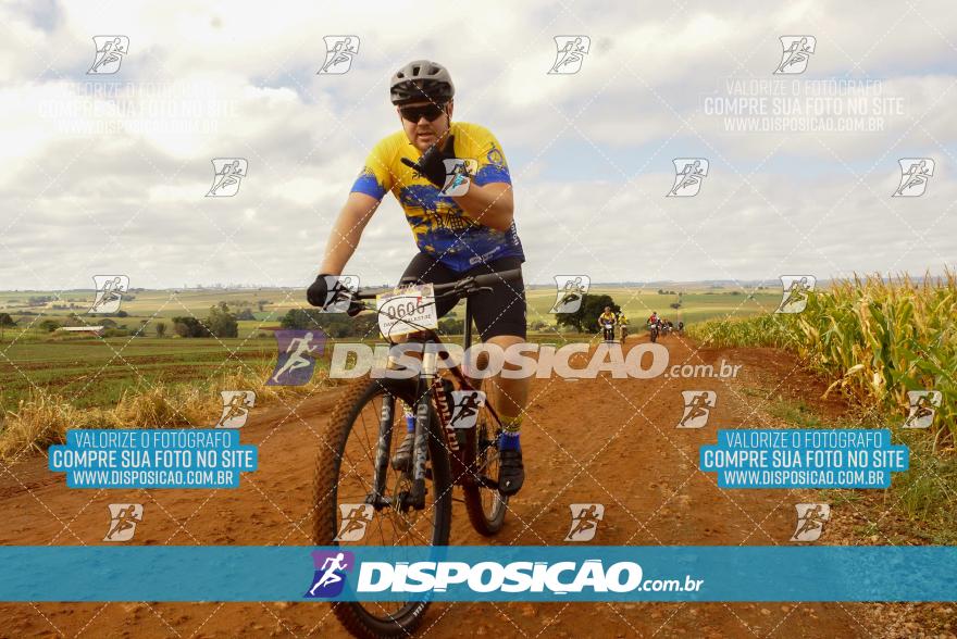 Rota das Catedrais 2024