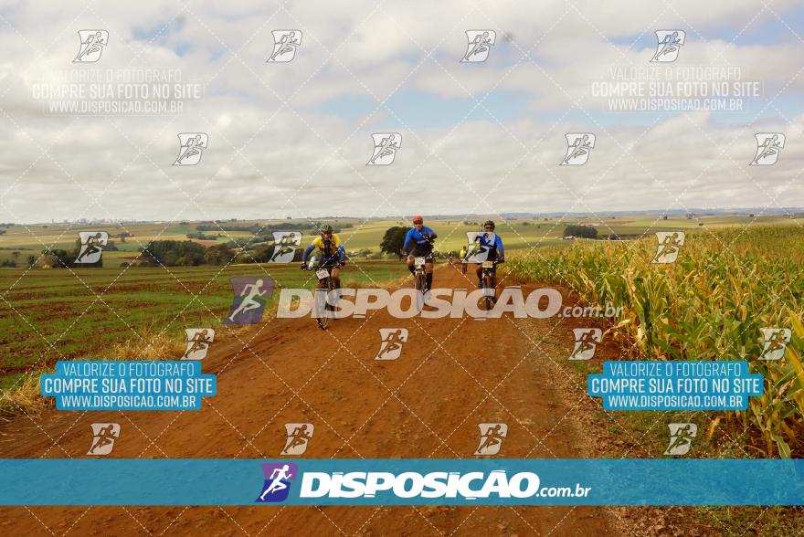 Rota das Catedrais 2024