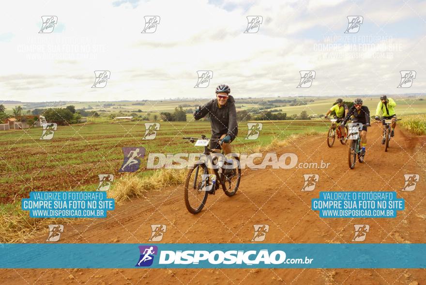 Rota das Catedrais 2024