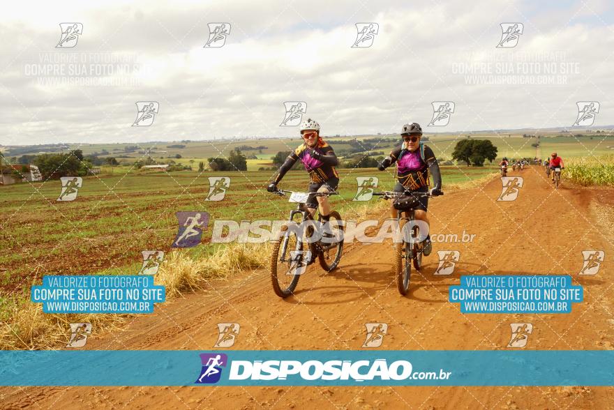 Rota das Catedrais 2024