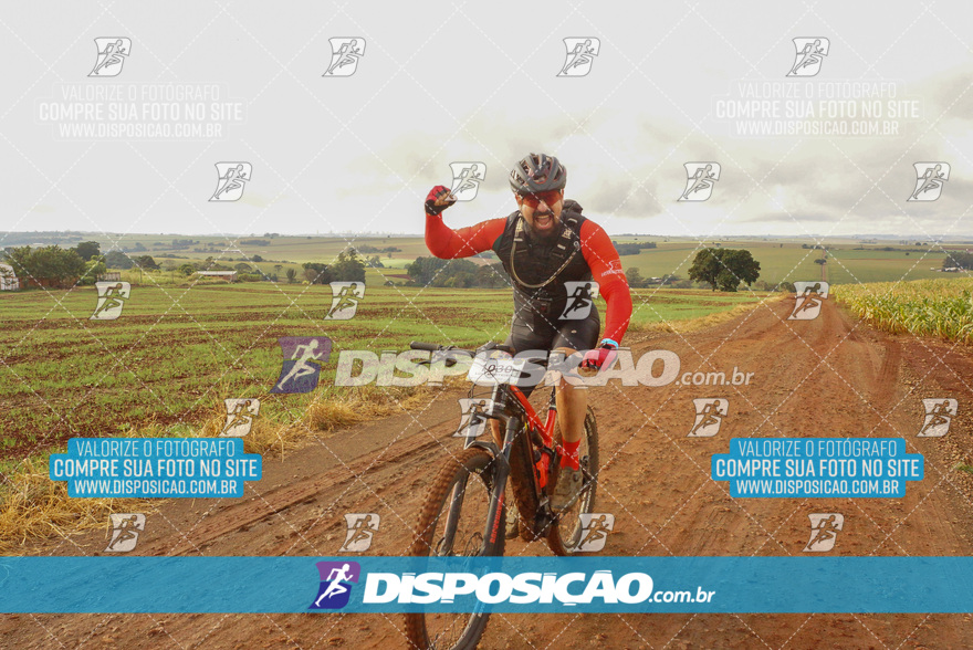 Rota das Catedrais 2024