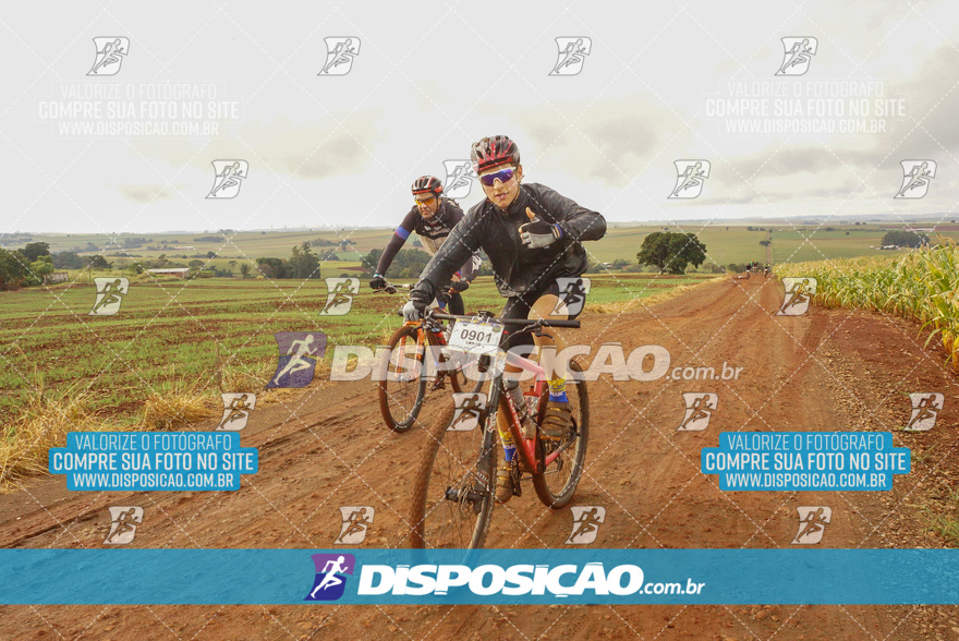 Rota das Catedrais 2024