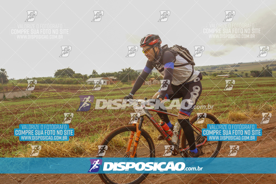 Rota das Catedrais 2024