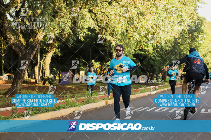 2ª (AMP) Run 