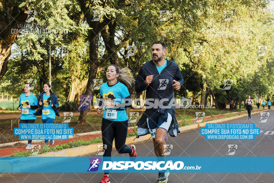 2ª (AMP) Run 