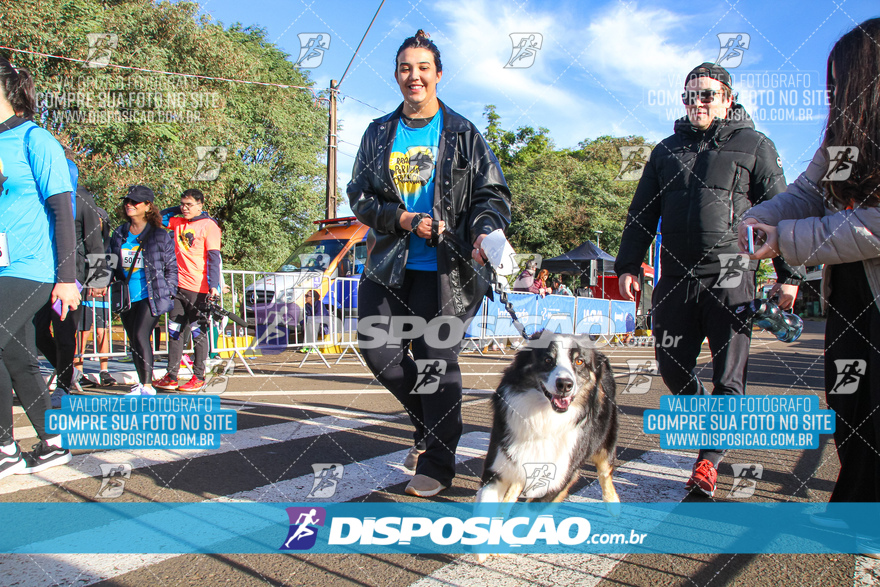 2ª (AMP) Run 