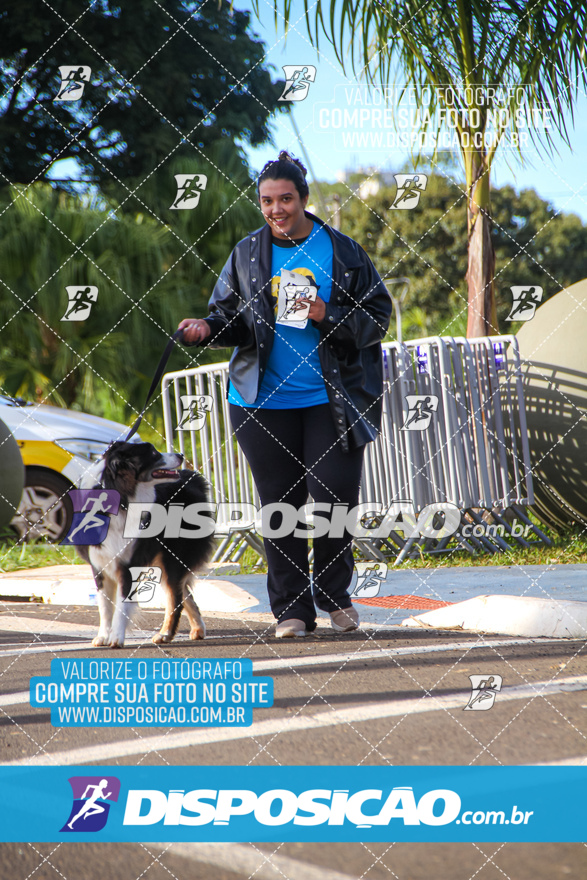 2ª (AMP) Run 