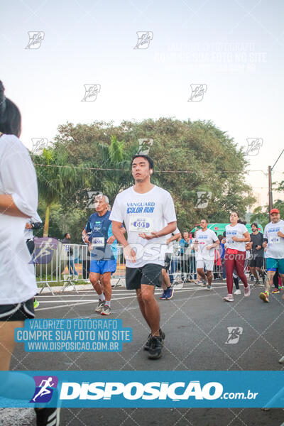 Vanguard Color Run 2024