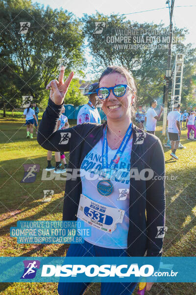 Vanguard Color Run 2024