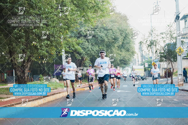 Vanguard Color Run 2024