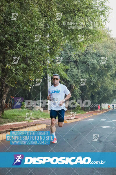 Vanguard Color Run 2024